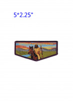 Netopalis Sipo Schipinachk 209 flap Longhorn Council #582