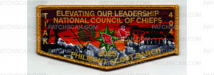 Patch Scan of National Council of Chiefs Flap (PO 103046)