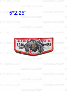 Patch Scan of Chickasaw Council LOAC 2025