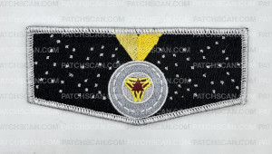Patch Scan of NATIONAL CAPITAL AREA COUNCIL FLAPS