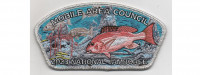 2023 National Jamboree Delegate CSP Alabama Forrest (PO 101182) Mobile Area Council #4