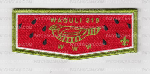 Patch Scan of Waguli 318 Watermellon 2021