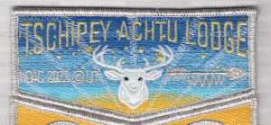 Patch Scan of Tschippey Achtu Lodge NOAC 2022