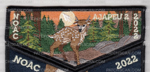 Patch Scan of Ajapeu 2 NOAC 2022 Set 1 - Flap