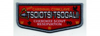 Cardinal Conclave Flap 2025 (PO 102790) Old North State Council #70