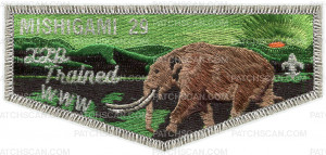 Patch Scan of MISHIGAMI LLD FLAP 2024