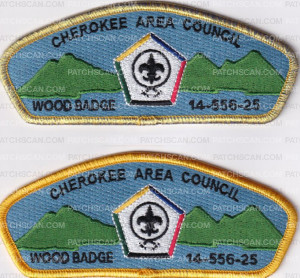 Patch Scan of 481203- Wood Badge 