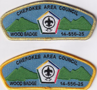 481203- Wood Badge  Cherokee Area Council #469
