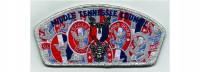 Eagle Scout CSP (PO 103029) Middle Tennessee Council #560