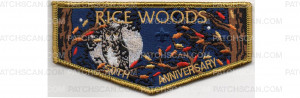 Patch Scan of Rice Woods Flap (PO 88222)