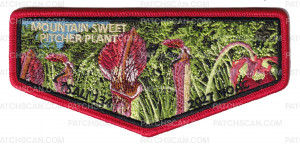Patch Scan of TSALI 2027 NOAC Flap (Pitcher Plant)