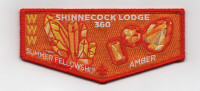 SHINNECOCK SUMMER FELLOWSHIP FLAP Suffolk County Council #404
