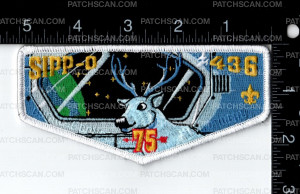 Patch Scan of 164104