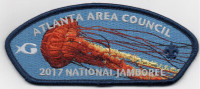 AAC NJ SEA NETTLE Atlanta Area Council #92