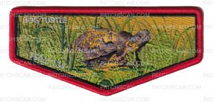 Patch Scan of FI 2027 Flap (Bog Turtle)