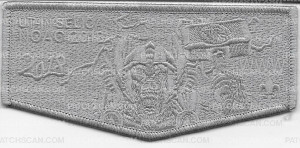 Patch Scan of Ut-In Selica pocket patch 
