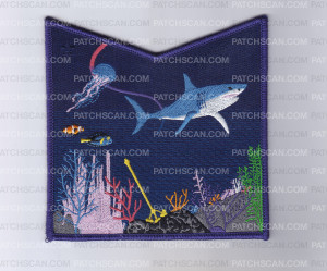 Patch Scan of Tschitani Fall Fellowship Flap Set