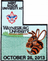 30901D - 2013 Jamboree Patch Set Waynesburg University