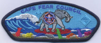 443471- Cape Fear NYLT  Cape Fear Council #425