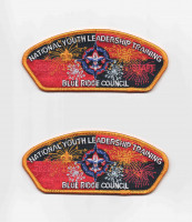 191311 - Participant  Blue Ridge Council #551