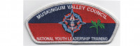 NYLT CSP (PO 88014) Muskingum Valley Council #467