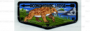 Patch Scan of Lodge Flap (PO 103060)