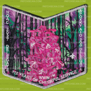 Patch Scan of Apoxky Aio 300 NOAC 2027 Delegate pocket patch