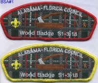 346489 A Alabama Florida Council  Alabama-Florida Council #3
