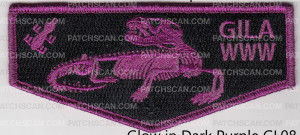 Patch Scan of Gila Lodge Skeleton Flap