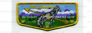 Patch Scan of Chief History Flap #6 (PO 102877)