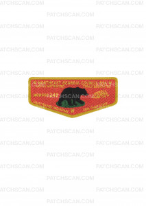 Patch Scan of NEGA OA CRM Flap