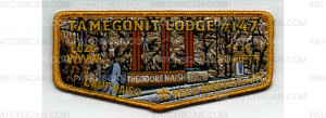 Patch Scan of 1939 Society Flap Central Camp (PO 103714)