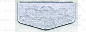 Patch Scan of Section Conclave Pentagon (PO 102783)