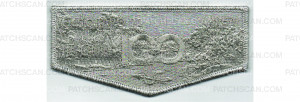 Patch Scan of Build the Bridge Flap (PO 103721)