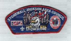 Patch Scan of SJAC Eagle Scout 