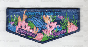 Patch Scan of Echockotee Lodge Special Needs Camporee(Flap)