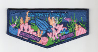 Echockotee Lodge Special Needs Camporee(Flap) North Florida Council #87