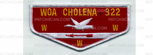 Patch Scan of OBV Flaps (PO 103593)