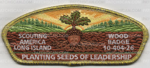 Patch Scan of WOOD BADGE CSP LONG ISLAND METALLIC GOLD BORDER