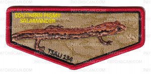 Patch Scan of TSALI 2027 Flap (S Pigmy Salamander)
