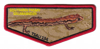 TSALI 2027 Flap (S Pigmy Salamander) Daniel Boone Council #414