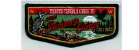 Summer Camp Flap (PO 102933) Old North State Council #70