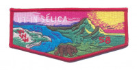 K121553 - MOUNT DIABLO SILVERADO COUNCIL - UT-IN SELICA 58 FLAP Mount Diablo-Silverado Council #23