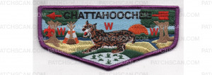 Patch Scan of Service Flap (PO 87652r1)