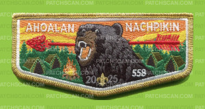 Patch Scan of Ahoalan Nachpikin 2025 Standard Flap(Gold Metallic)