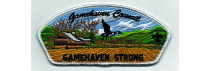 Gamehaven Strong/Patron CSP (PO 103538) Gamehaven Council #299
