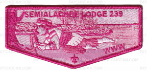 Patch Scan of SRAC Pink Ribbon Flap
