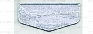 Patch Scan of Spring Ordeal Flap 2025 (PO 102766)