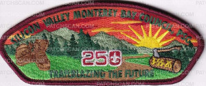 Patch Scan of 490334- Wood Badge -2026