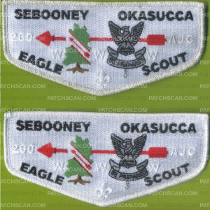 Patch Scan of 389572 SEBOONEY